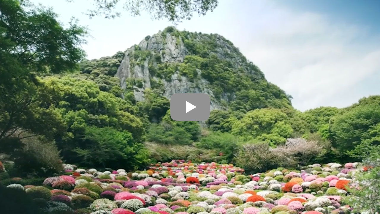 御船山楽園2020年TVCM